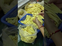 Cincin O Karet Silikon yang Disesuaikan untuk Suhu Ekstrim (-30.C ~ 230.C)